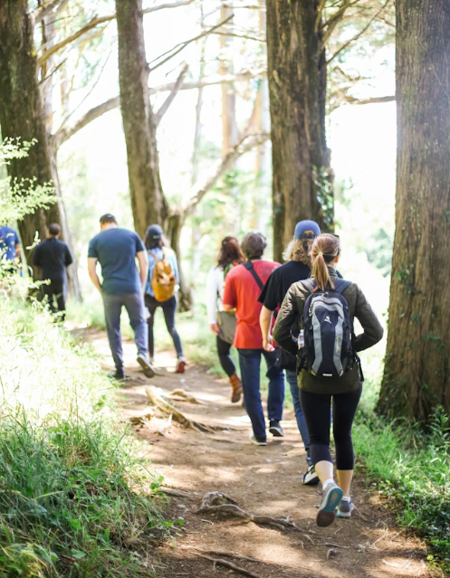 Screenshot 2026-04-16 at 17.25.21