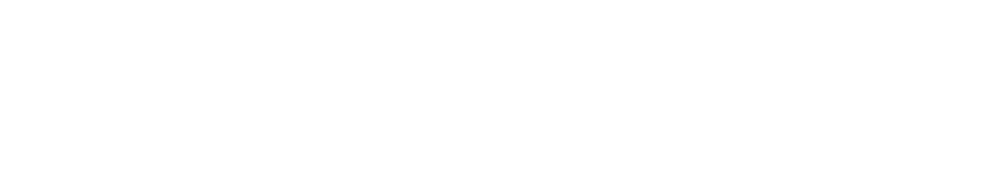 Eneve wordmark